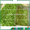 Advanced FCJ Model Wind Separator For Vegetables